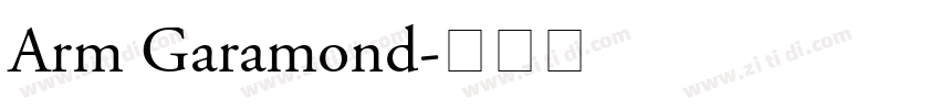 Arm Garamond字体转换